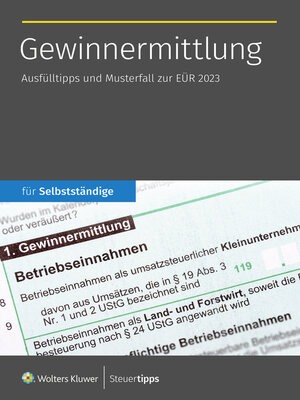 cover image of Gewinnermittlung